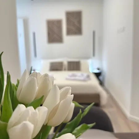 Pitentino Urban Nest - Rl