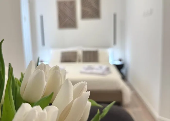 Pitentino Urban Nest - Rl